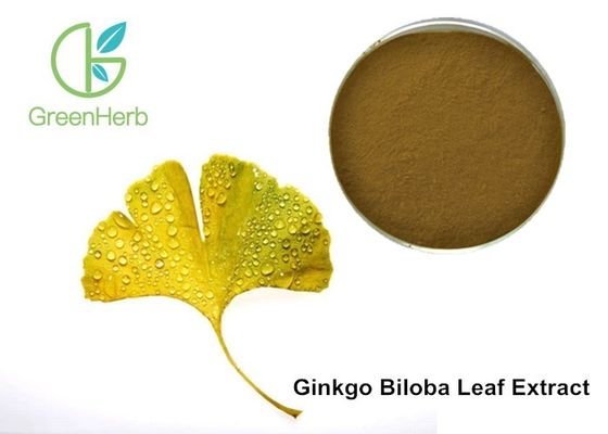 Flavonoids Ginkgo ανεφοδιασμού εργοστασίων, λακτόνες τερπενίων, σκόνη αποσπασμάτων Ginkgo Biloba